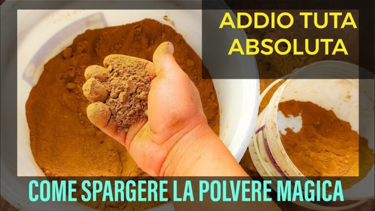 Efficacia della Polvere Insetticida nella Lotta contro i Parassiti