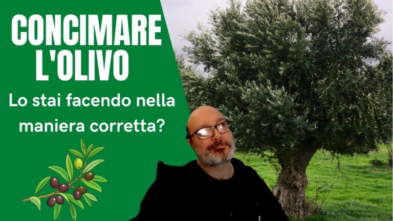 Sangue di Bue: Vantaggi e Utilizzi del Pacco da 25 kg