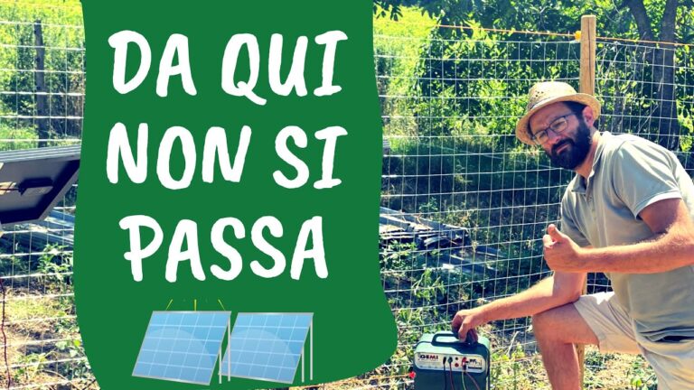 Recinzione Fai Da Te per Cinghiali: Guida Pratica e Innovativa