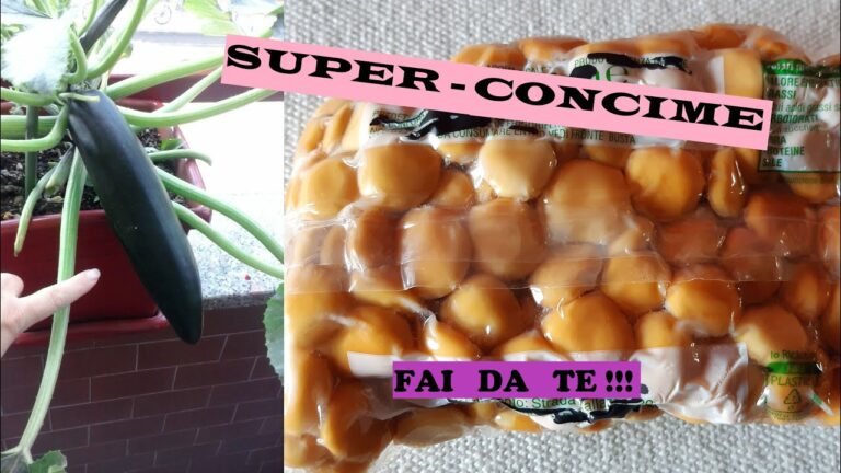 Guida al Lupino Macinato Fatto in Casa: Ricette e Vantaggi
