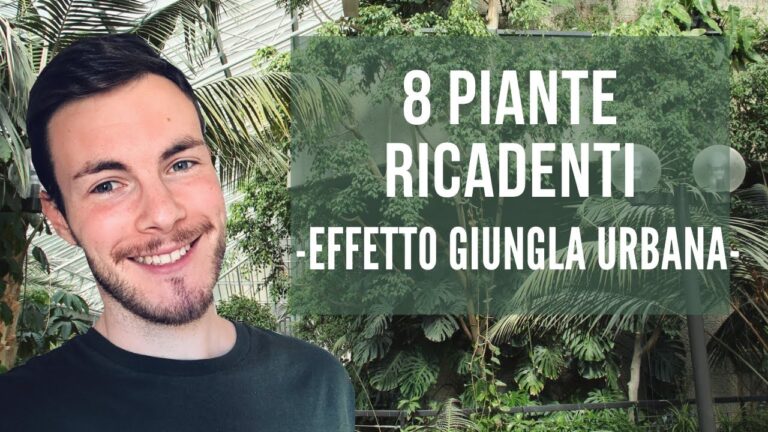 Piante Pendenti Sempreverdi: Bellezza e Facile Cura