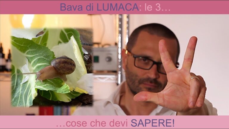 Come Rimuovere la Bava delle Lumache dalle Mani