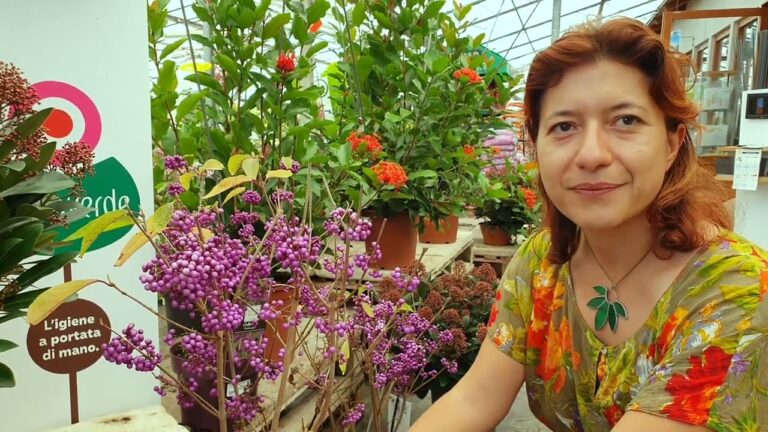 Piante con Bacche Viola: Bellezza e Variet&agrave; nel Giardino