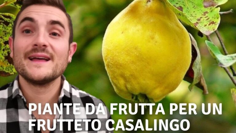 Piante da Frutta Resistenti al Freddo: Guida alla Scelta e Cura