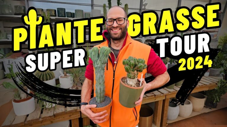 Piante Grasse Infestanti: Controllo e Prevenzione Efficaci