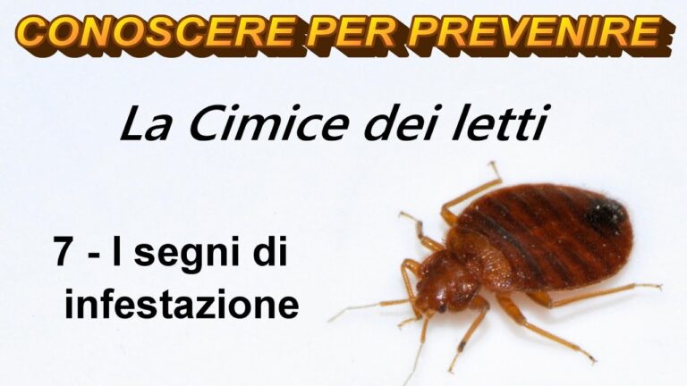 Impatto degli Escrementi di Cimice Verde sull’Agricoltura
