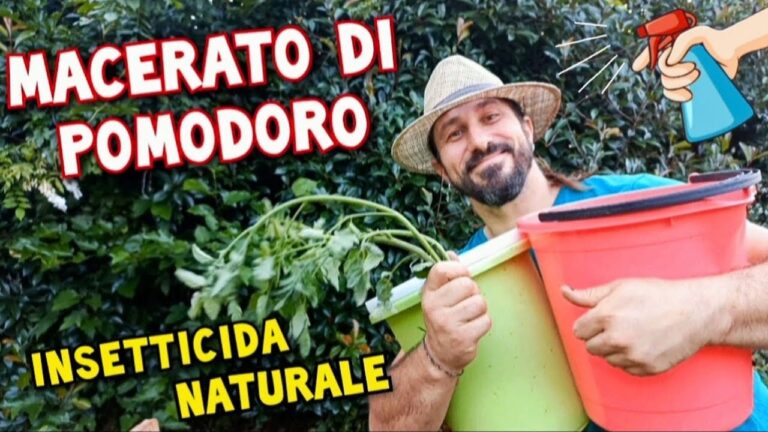 Insetticida Efficace per Pomodori: Guida Pratica