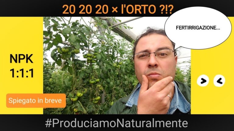 Fertirrigazione Efficace: Dosaggio Ottimale del Concime 20-20-20