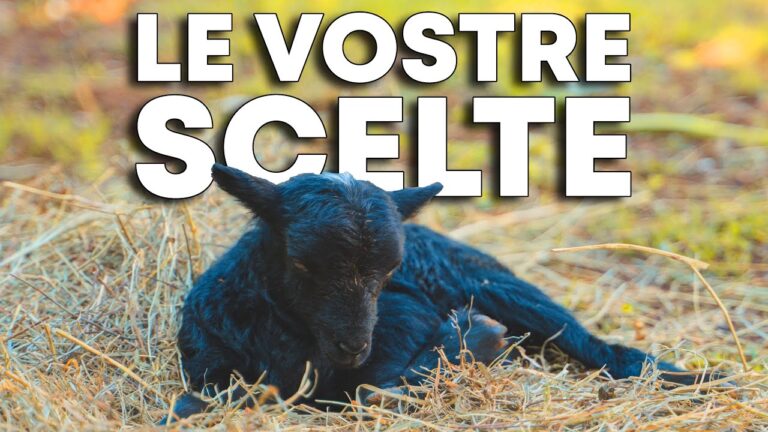 Ghirlanda Primaverile/Estiva Con Limoni E Foglie Di Agnello - 55 Cm, Artificiale, Per Porta, Parete, Matrimonio E Decorazione Casa