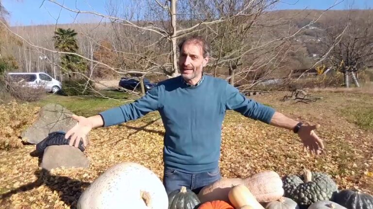 Coltivazione e Cura delle Zucche Giganti Comestibili