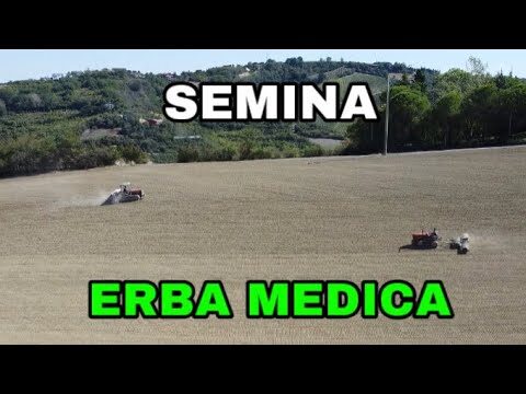 Seminari di Erba Medica: Coltivazione e Benefici