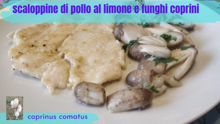 Il Fungo in Cucina: Versatilità e Ricette Imperdibili