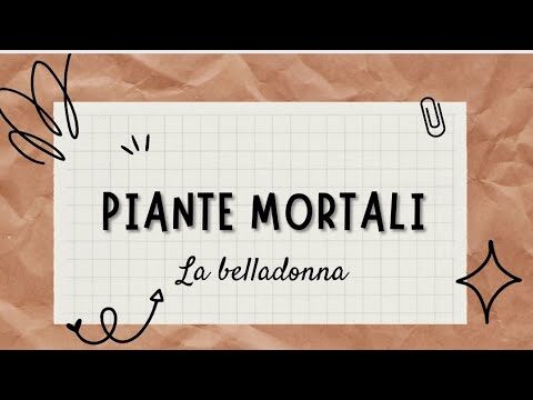 Belladonna: Il Fiore Velenoso e le Sue Proprietà Curative