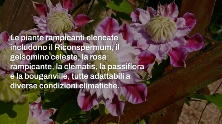 Guida ai Fiori Rampicanti da Esterno: Bellezza e Scelte Ideali