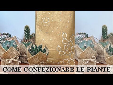 Idee Originali per Bomboniere con Piante Grasse
