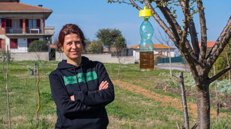 Tappi Trappola per Calabroni: Soluzione Efficace per la Casa