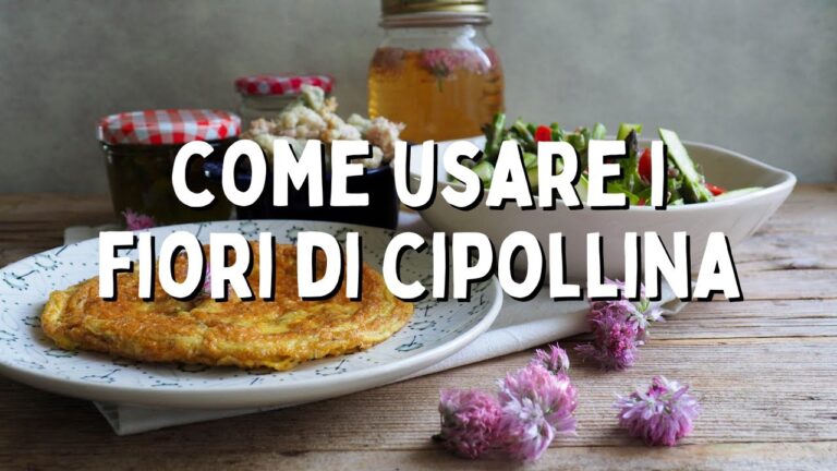 La Bellezza dell’Erba Cipollina Fiore Bianco: Guida alla Coltivazione e Cura