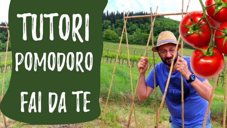 Ottimizza la tua produttività con il tutore per pomodoro