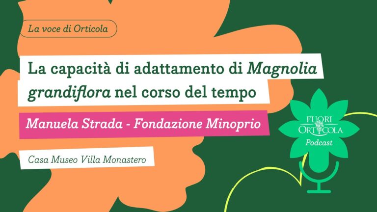 Comprendere la Malattia della Magnolia: Cause e Rimedi