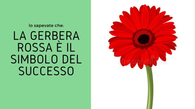 Il Significato delle Gerbere: Simbolismo e Interpretazioni