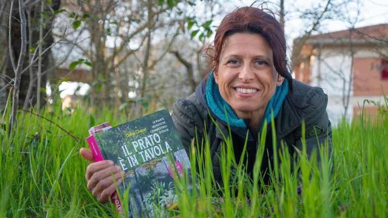 Erba con Fiorellini Gialli: Bellezza e Benefici Naturali