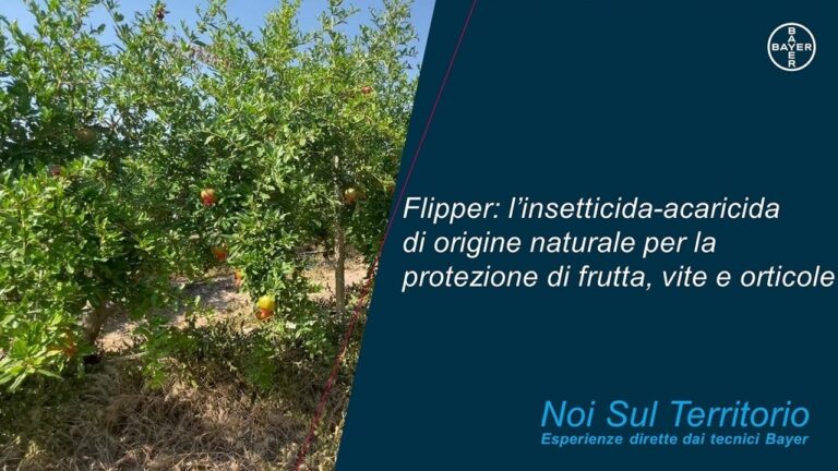 Sivanto Prime: Guida all’Etichetta e Utilizzo Efficace