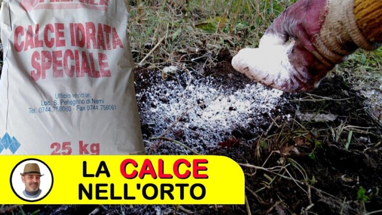 Calce Idrata in Agricoltura: Vantaggi e Applicazioni