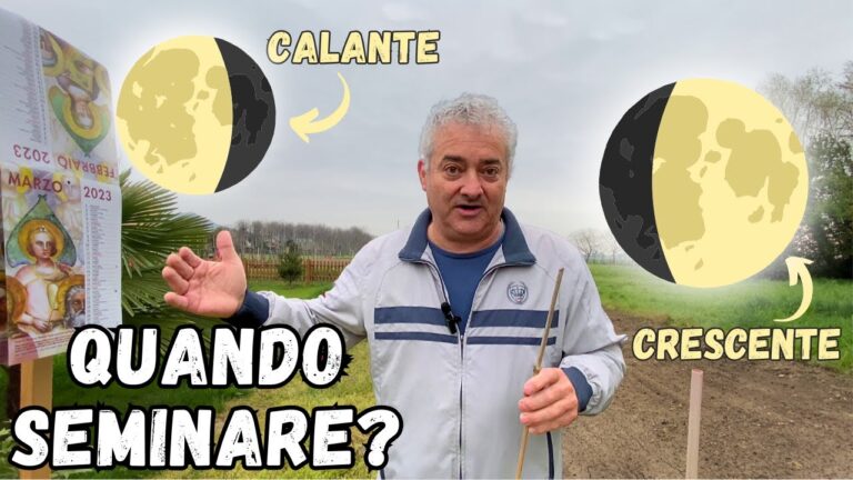 Guida al Calendario Lunare di Marzo