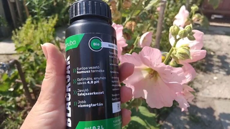 Blackjak: La Rivoluzione dell’Etichetta Bio