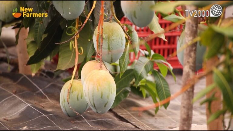 Colture Agricole di Nicchia: Opportunità e Vantaggi