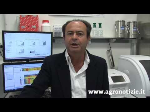 Innovazione e Sostenibilità nei Prodotti Valagro
