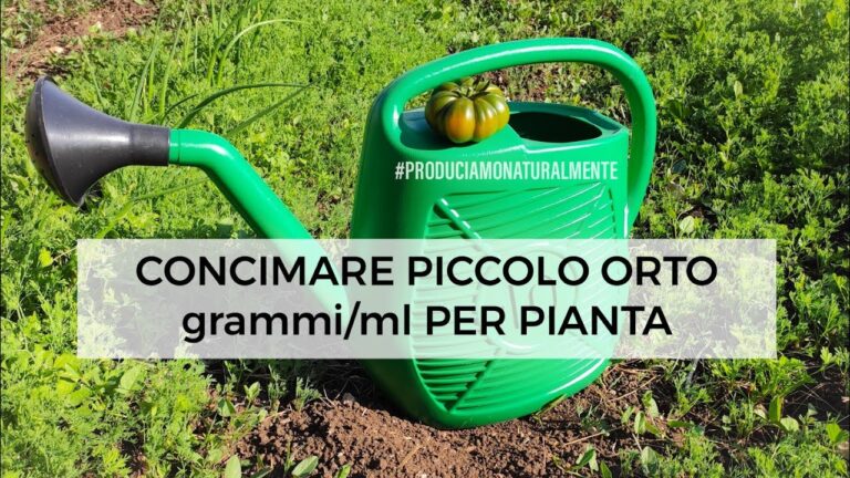 Guida al Dosaggio Ottimale del Concime 20-10-10 per le Piante