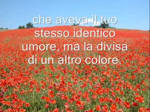 Il Significato delle Frasi sui Papaveri