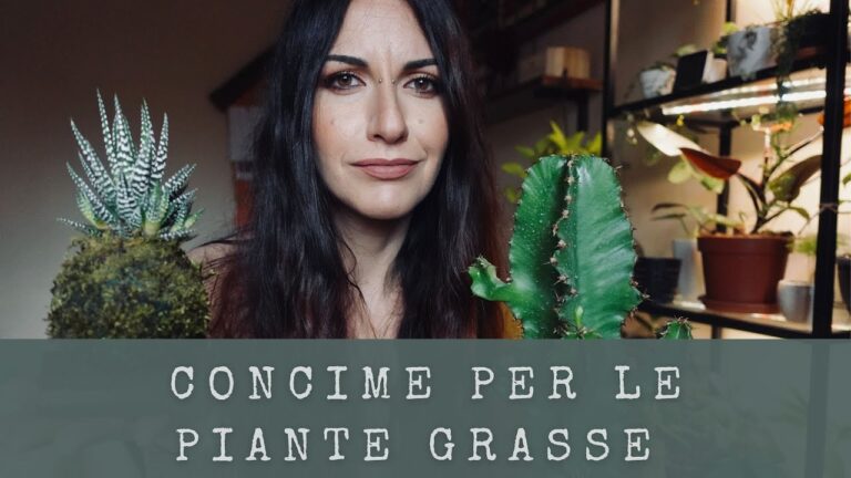 Il Miglior Concime per Piante Grasse: Guida Essenziale