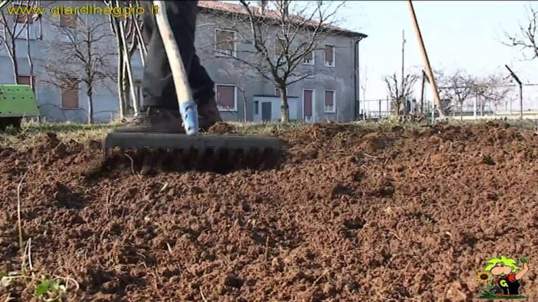 Terreno Non Adatto alla Semina: Cause e Soluzioni