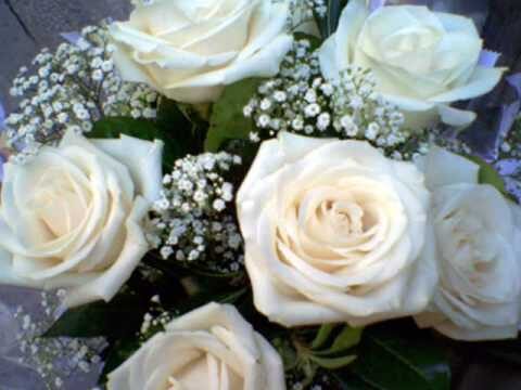 Fiori Bianchi: Simboli di Purezza e Bellezza