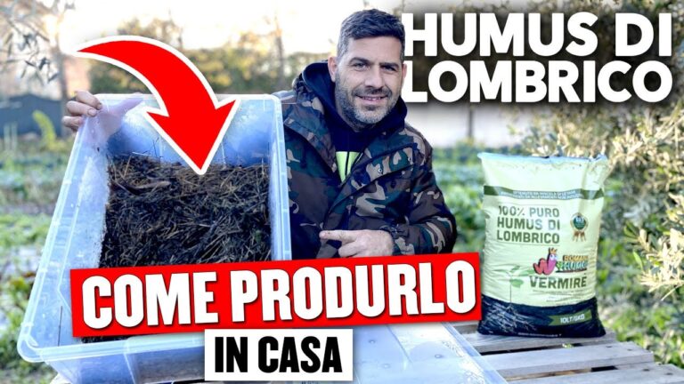 Lombrichi in Casa: Cause e Soluzioni Efficaci