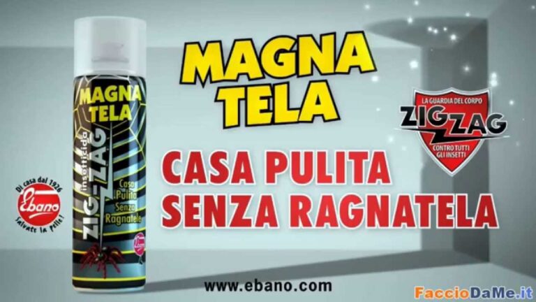 Soluzioni Efficaci per il Controllo dei Ragni con Spray