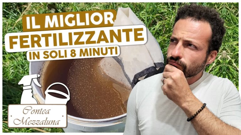 Il Miglior Concime al Mondo: Guida alla Scelta e Utilizzo