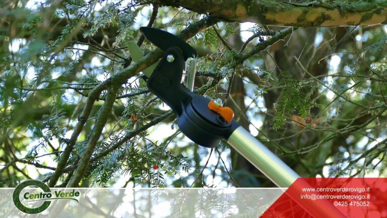 Attrezzi Efficaci per Potare Alberi Alti