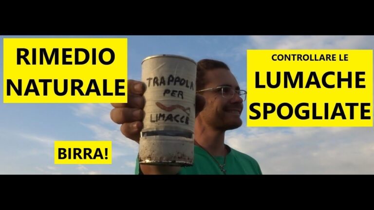 Alimentazione delle lumache senza guscio