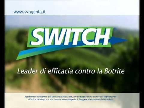 Ottimizzazione del Switch Fitofarmaco: Strategia Efficace per il Trattamento