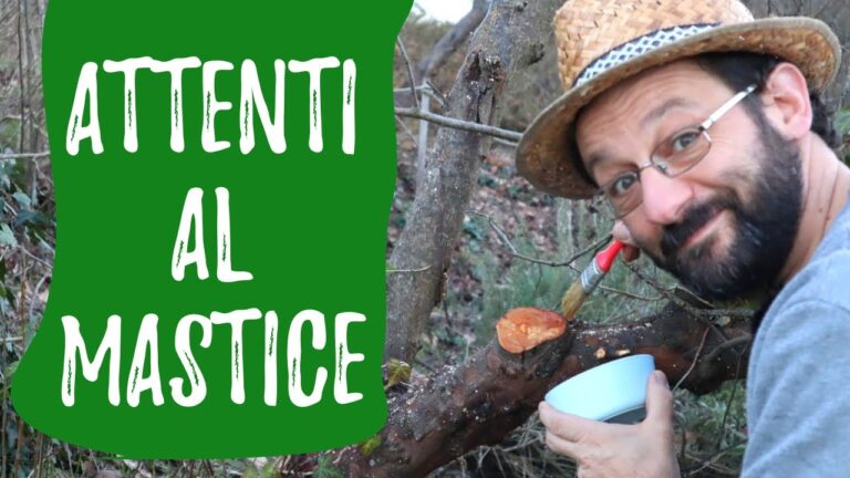 Come Disinfettare Efficacemente i Tagli della Potatura