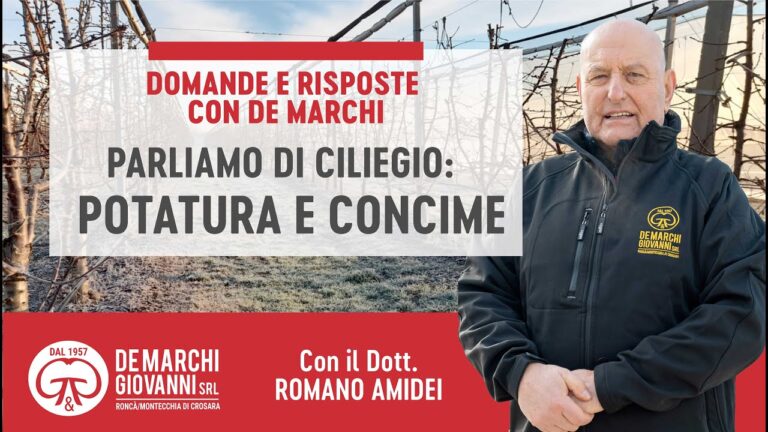 Il miglior concime per ciliegio: guida alla scelta ideale