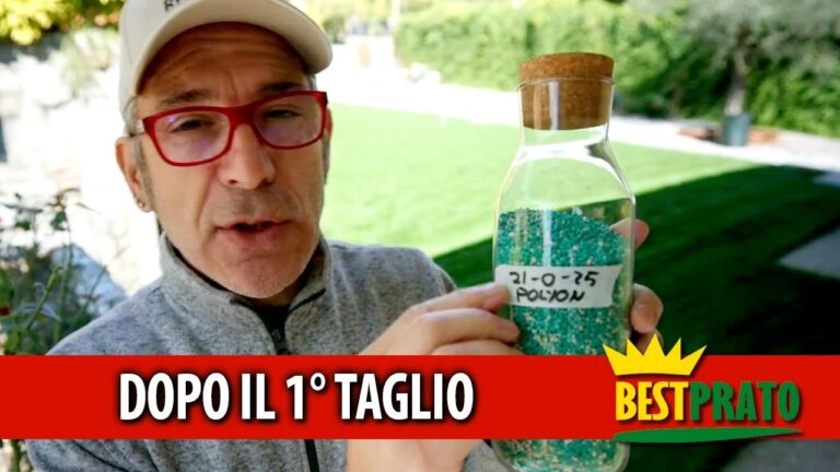 Guida alla Concimazione del Prato in Autunno
