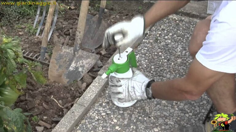 Disinfezione del Terreno con Candeggina: Guida Pratica