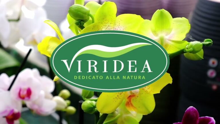 Varietà di Orchidee: Scoprire la Bellezza e la Diversità