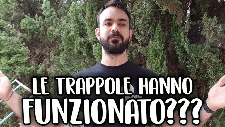 Trappola Fai da Te per Oziorrinco: Soluzioni Efficaci
