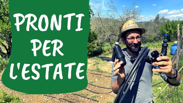 Ottimizzazione della Pressione negli Impianti di Irrigazione a Goccia