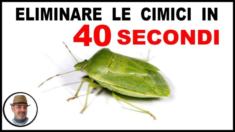 Il Veleno delle Cimici: Rischi e Rimedi